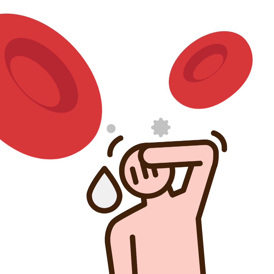 빈혈 혈액검사 수치
