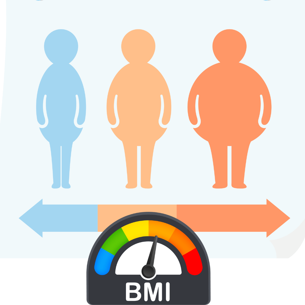 BMI 비만 측정