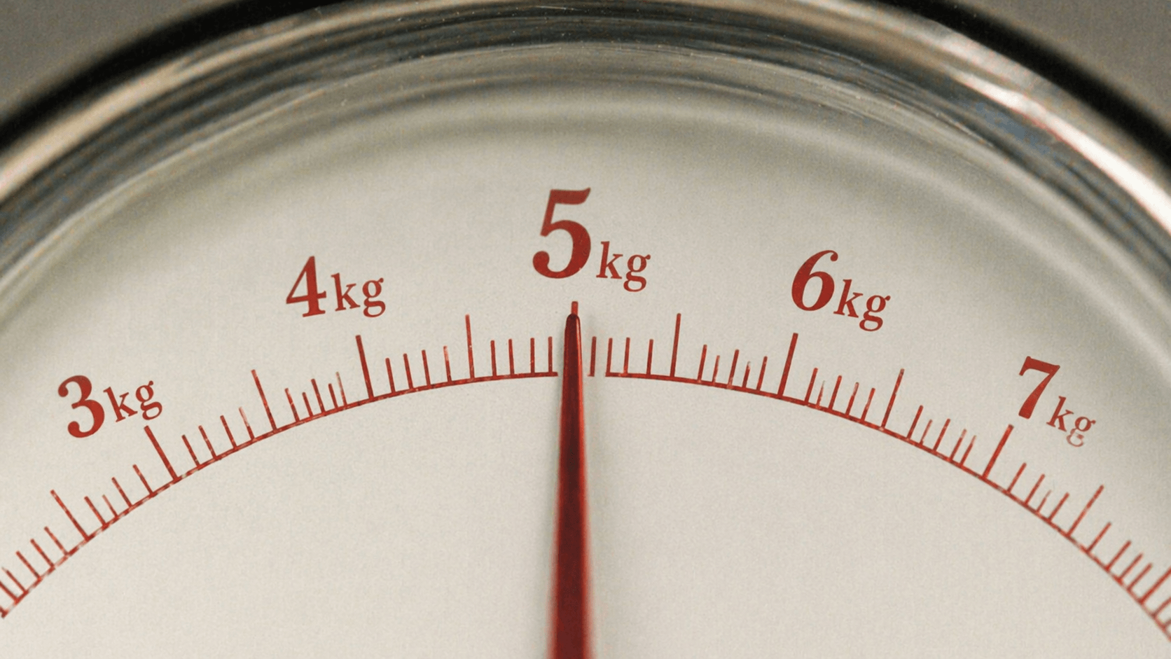 몰농도 계산기